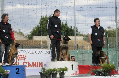 Remise des Prix 200.JPG - CHIENPLUS.COM